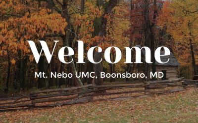 Worship for November 13, 2022