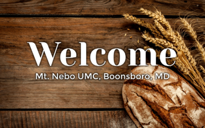 Worship for November 21, 2022